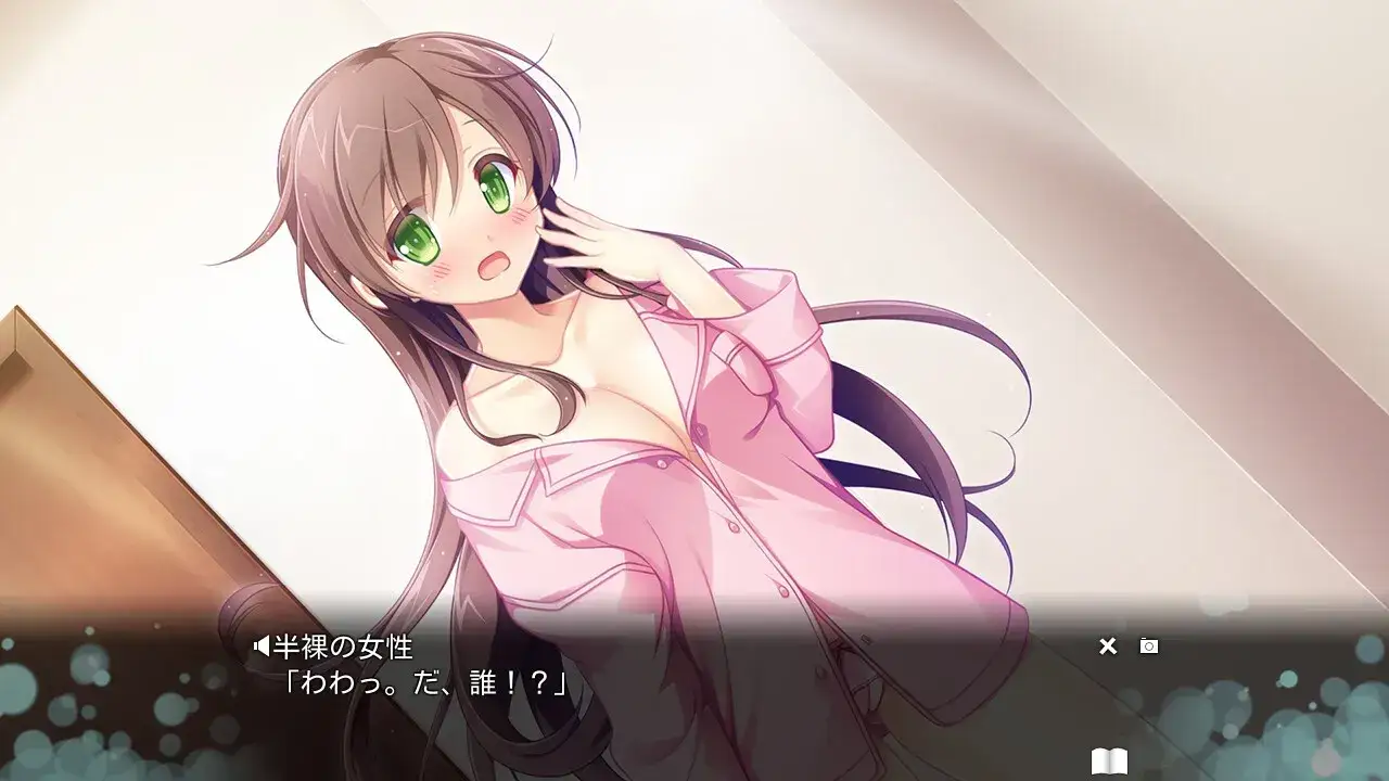 Cross Concerto 交汇协奏曲 PC+KRKR gal类型-4