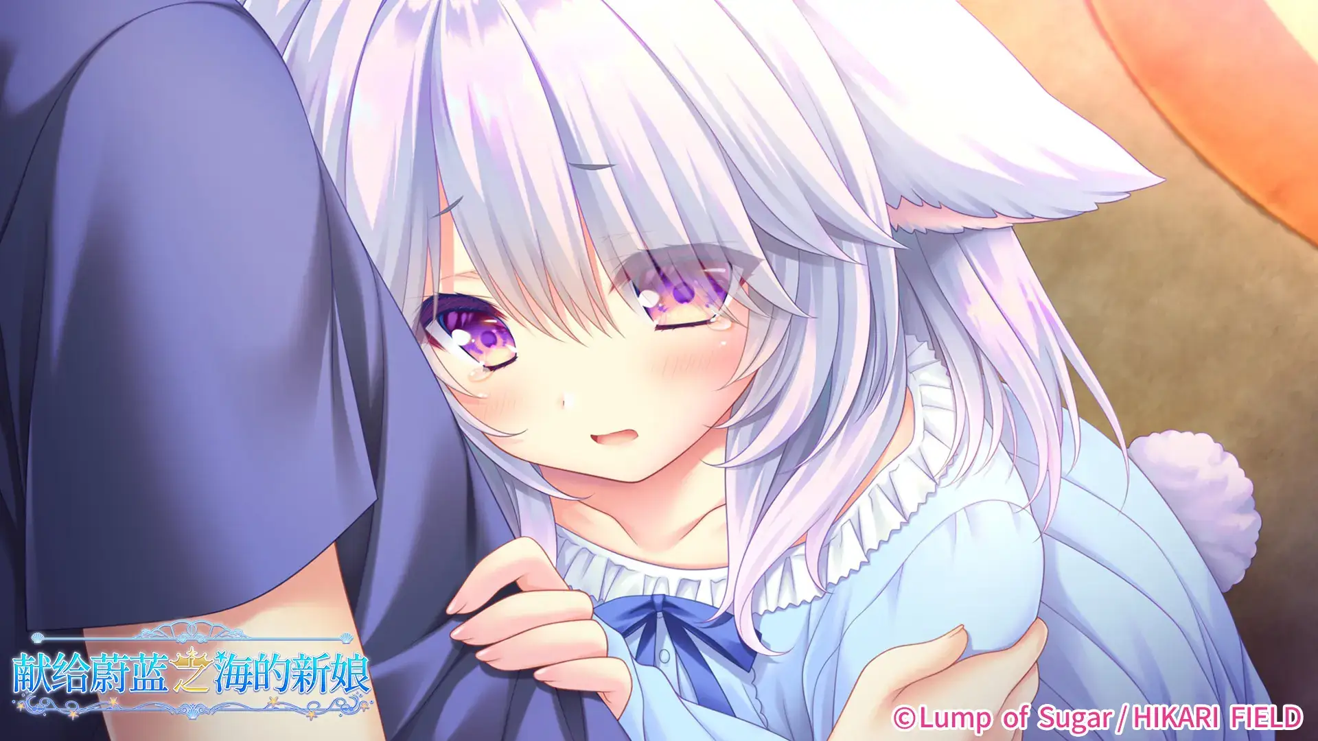 遥か碧の花嫁に 献给蔚蓝之海的新娘 PC平台 gal类型-3