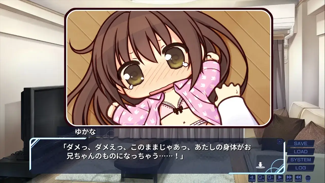 妹のセイイキ 妹的圣域 PC+KRKR平台 gal类型-3