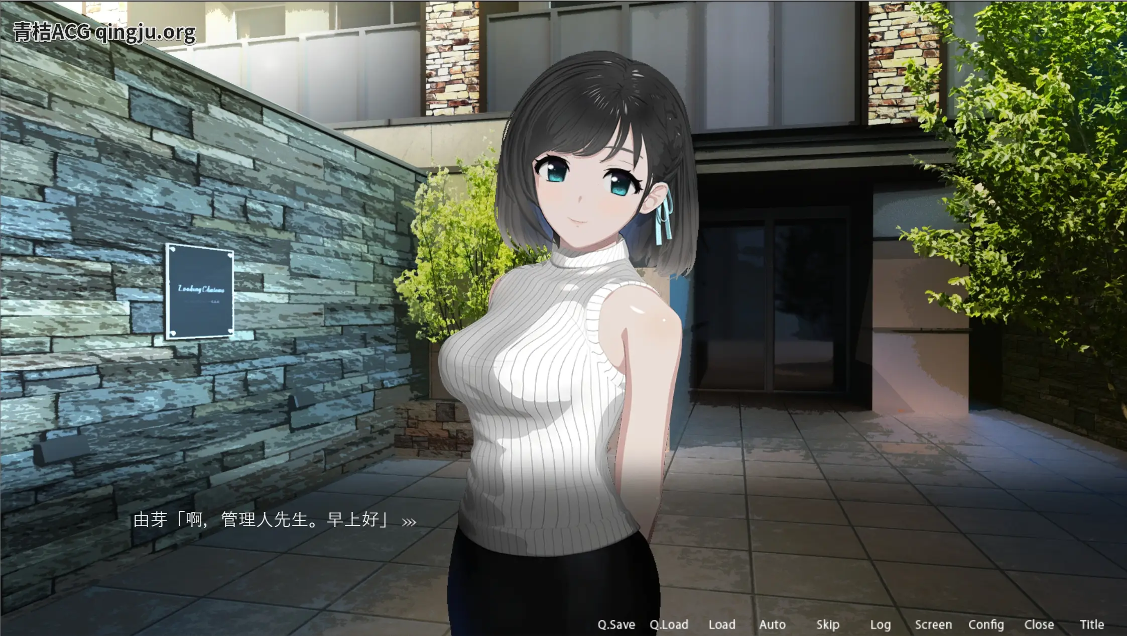 【安卓直装/官中/SLG】《ROOM：少女私密时光 V2.02》沉浸式观察新作｜悬疑剧情+全动态｜低配流畅运行指南-1