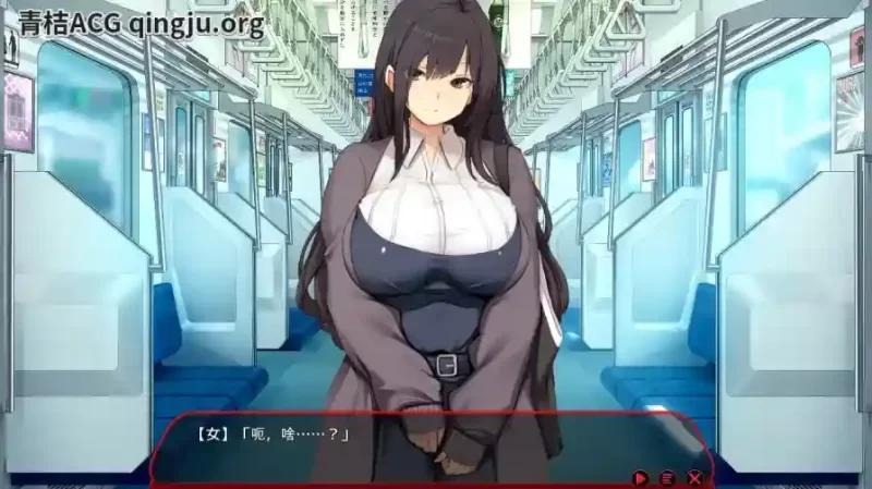 《满车率300%≒／満車率300% 3≒Append.1 鉄板ギャル御乗車ぱっち+DLC1》PC版体验报告-K游戏试玩中心