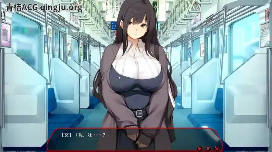 《满车率300%≒／満車率300% 3≒Append.1 鉄板ギャル御乗車ぱっち+DLC1》PC版体验报告-K游戏试玩中心