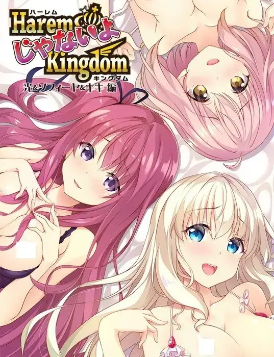 HaremKingdom 后宫王国 本篇+FD*2 PC平台 gal类型-K游戏试玩中心