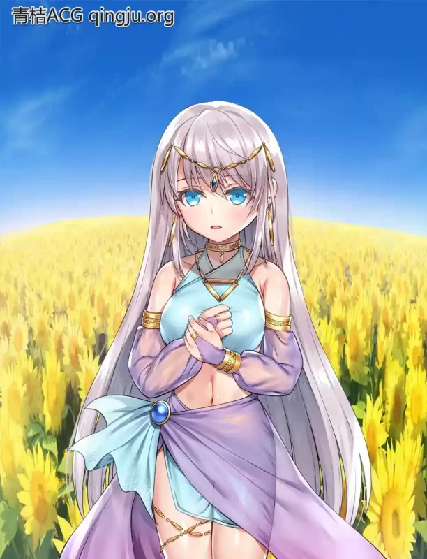 誓死守护您的生命 命に代えてもお守りします! RPG类型 安卓直装 支持JoiPlay-K游戏试玩中心